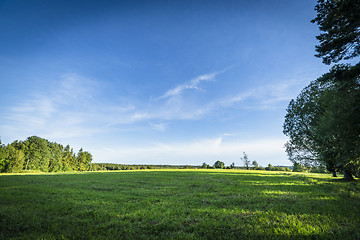 Image showing Green fields and blue sky in the summer