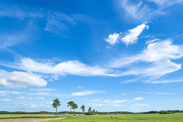 Image showing Landscape in the summer with white clouds