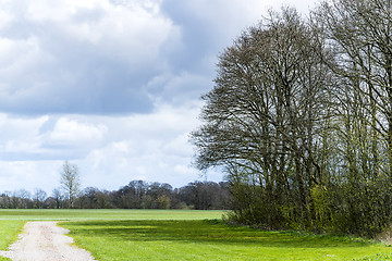 Image showing Spring landscape with green fields surrounded by trees