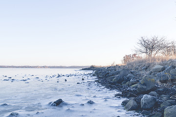 Image showing Rocks in the frozen sea on a coastline