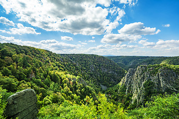 Image showing Large creek from above with forest and cliffs