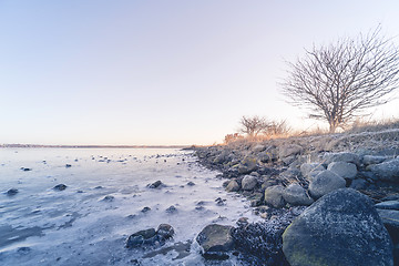 Image showing Coastline by a frozen sea in the winter