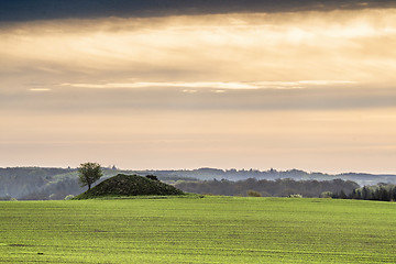 Image showing Historic barrow hill on a green field in Denmark