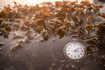 Image showing Antique pocket watch under water on a lake