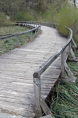 Image showing Wooden pathway in Plitvice Lakes national park in Croatia