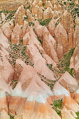 Image showing Rose valley near Goreme, Turkey