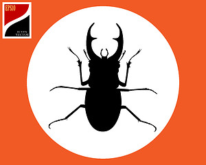 Image showing silhouette of a stag beetle