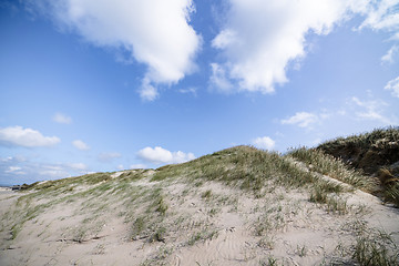 Image showing Sand dunes on a nordic beach in the summer