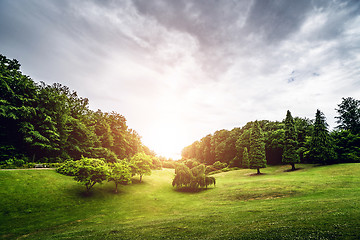 Image showing Landscape with a sunset over a park