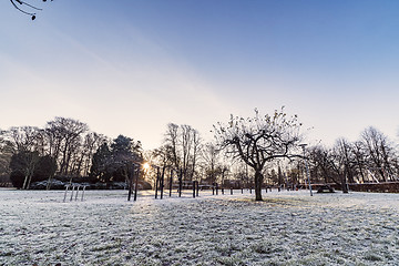 Image showing Playground i a park in the morning sunrise