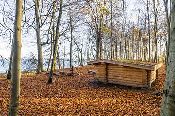 Image showing Shelter made of wood in a forest