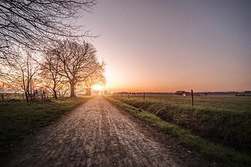 Image showing Countryside trail in the morning sunrise with rural fields