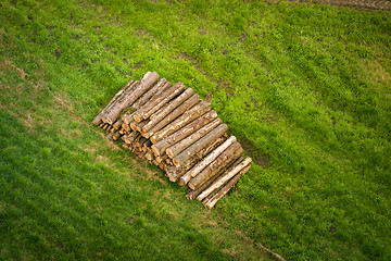 Image showing Woodstack with logs on a green field