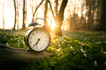 Image showing Alarm clock in a forest with many anemone flowers