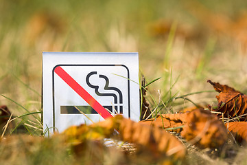 Image showing No smoking sign in the nature with autumn leaves