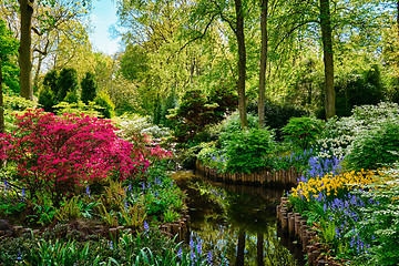 Image showing Keukenhof flower garden. Lisse, the Netherlands.