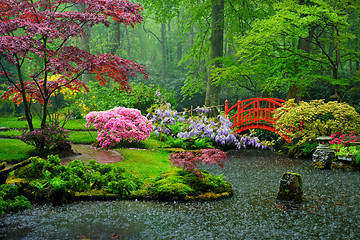 Image showing Japanese garden, Park Clingendael, The Hague, Netherlands