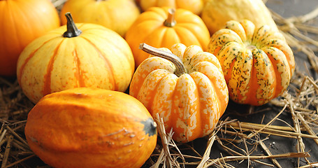 Image showing Mellow pumpkins laid on hay