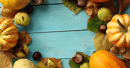 Image showing Vegetables and leaves laid in circle