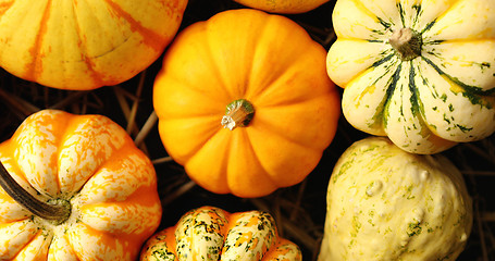 Image showing Heap of yellow pumpkins