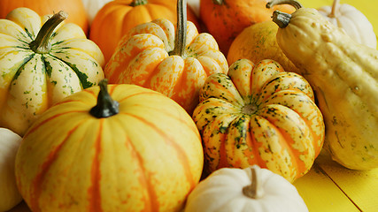 Image showing Pile of yellow pumpkins