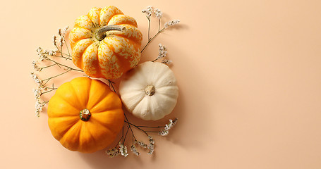 Image showing Three pumpkins laid on herbs