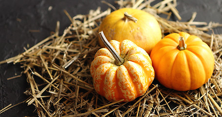 Image showing Three pumpkins on pile of hay