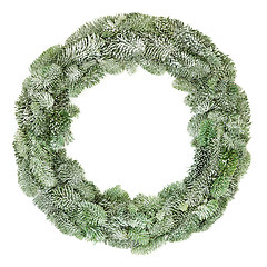 Image showing Spruce Fir Winter Wreath