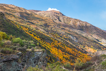 Image showing Mountains near Kawarau river, Queenstown, New Zealand