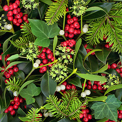 Image showing Christmas Holly Ivy and Mistletoe