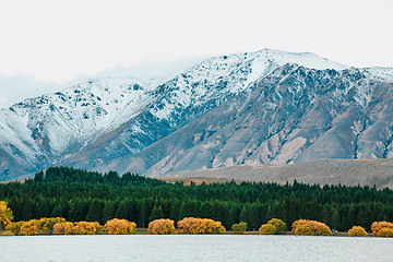 Image showing Lake Tekapo, South Island, New Zealand