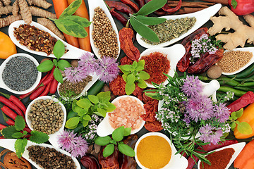Image showing Herb and Spice Seasoning Selection