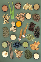 Image showing Adaptogen Restorative Food Collection