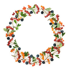 Image showing Autumn Berry Wreath