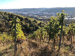 Image showing vineyards in the Stuttgart area