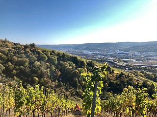 Image showing vineyards in the Stuttgart area