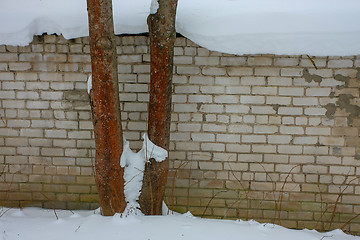 Image showing Brick wall