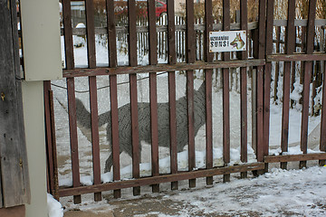 Image showing Winter in town