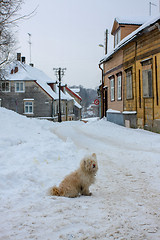 Image showing Winter in town