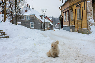 Image showing Winter in town