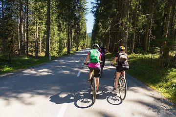 Image showing Active sporty women riding mountain bike on forest trail .