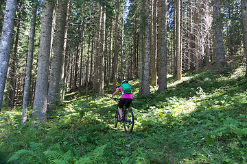 Image showing Active sporty woman riding mountain bike on forest trail .