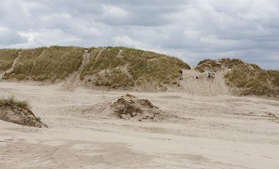 Image showing Sandy desert.