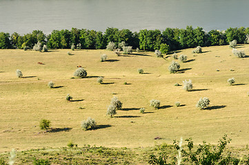 Image showing Typical landscape of Moldova