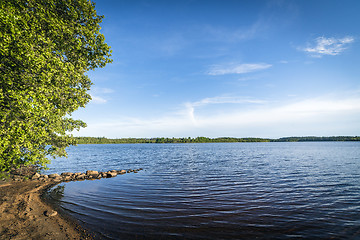 Image showing Beach by a large forest lake in the summer