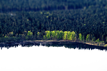Image showing Green trees by a lake shore with dark reflections