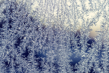 Image showing Frost patterns on a window in the winter