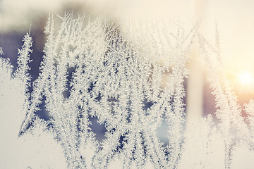 Image showing Sunrise behind a frosty window