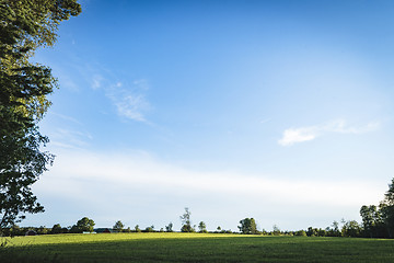 Image showing Green field under a blue sky in the spring