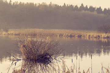 Image showing Lake near a forest in the morning sunrise